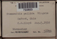 Image Associated With the Occurence